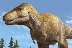 How Dinosaurs Ruled the Earth: A Kid’s Guide to Prehistoric Times